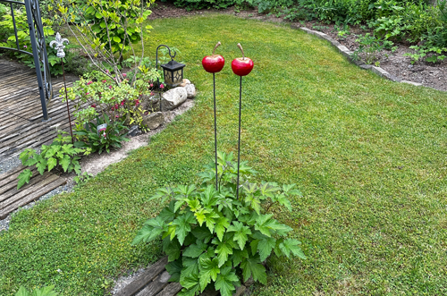 Gartenstecker Riesen Kirsche in Rot